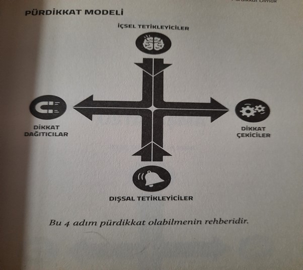 Pürdikkat Modeli